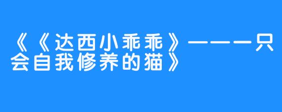 《《达西小乖乖》——一只会自我修养的猫》