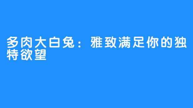 多肉大白兔：雅致满足你的独特欲望