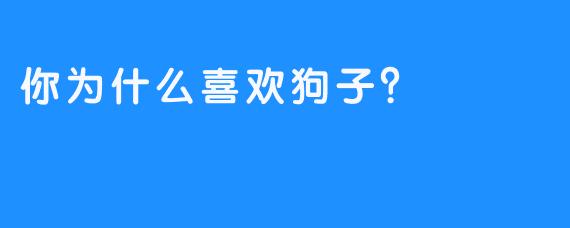 你为什么喜欢狗子？