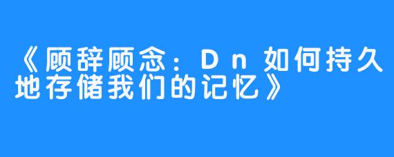 《顾辞顾念：Dn如何持久地存储我们的记忆》