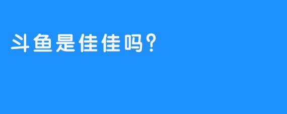 斗鱼是佳佳吗？