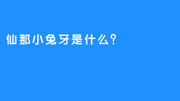 仙那小兔牙是什么？