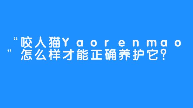 “咬人猫Yaorenmao”怎么样才能正确养护它？