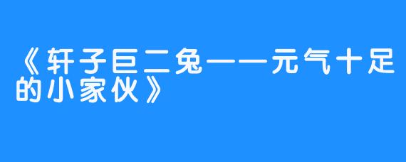 《轩子巨二兔——元气十足的小家伙》