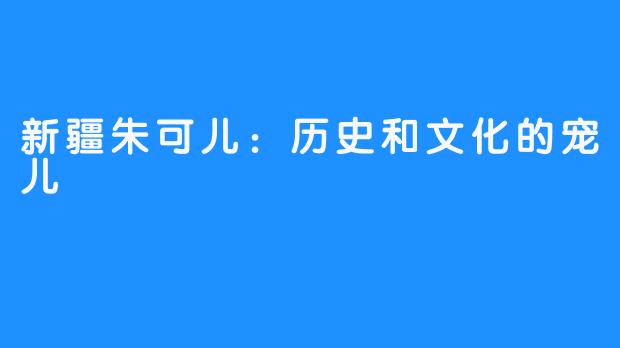 新疆朱可儿：历史和文化的宠儿