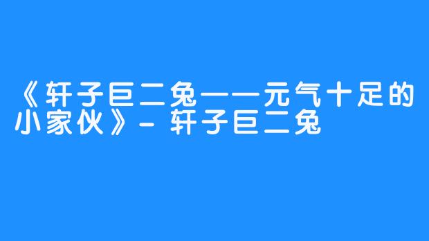 《轩子巨二兔——元气十足的小家伙》-轩子巨二兔