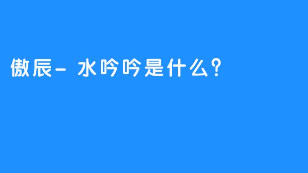 傲辰-水吟吟是什么？