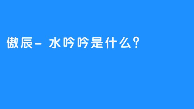 傲辰-水吟吟是什么？