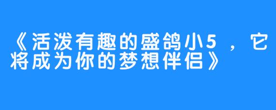 《活泼有趣的盛鸽小5，它将成为你的梦想伴侣》