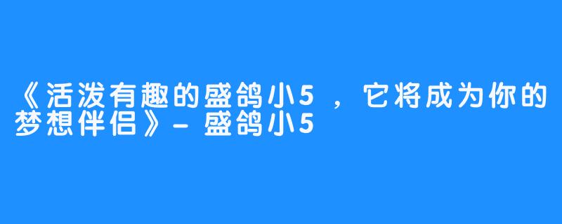 《活泼有趣的盛鸽小5，它将成为你的梦想伴侣》-盛鸽小5