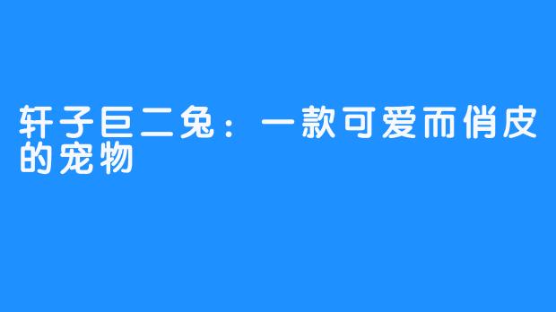 轩子巨二兔：一款可爱而俏皮的宠物