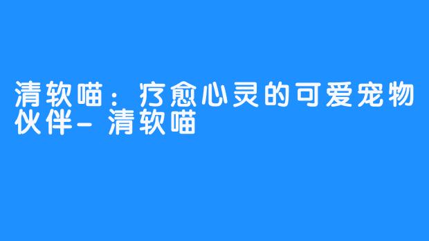 清软喵：疗愈心灵的可爱宠物伙伴-清软喵