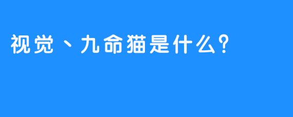 视觉丶九命猫是什么？