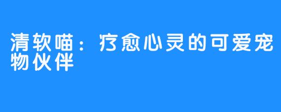 清软喵：疗愈心灵的可爱宠物伙伴