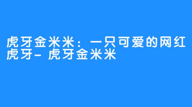 虎牙金米米：一只可爱的网红虎牙-虎牙金米米