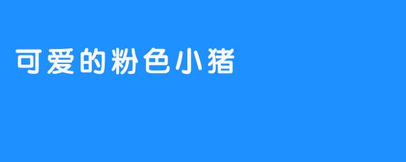 可爱的粉色小猪