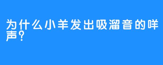为什么小羊发出吸溜音的咩声？