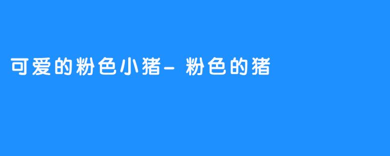 可爱的粉色小猪-粉色的猪