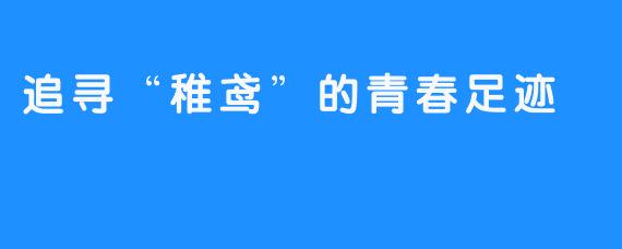 追寻“稚鸢”的青春足迹