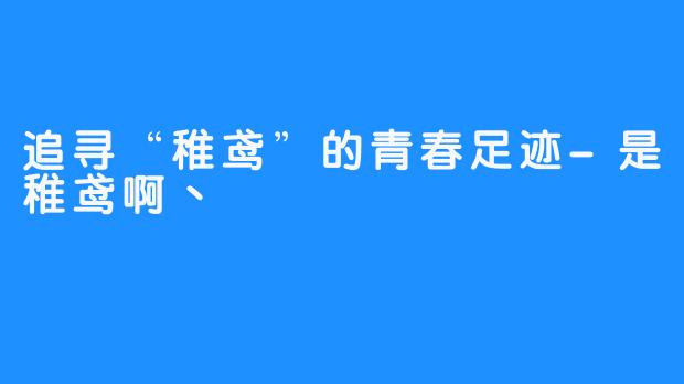 追寻“稚鸢”的青春足迹-是稚鸢啊丶