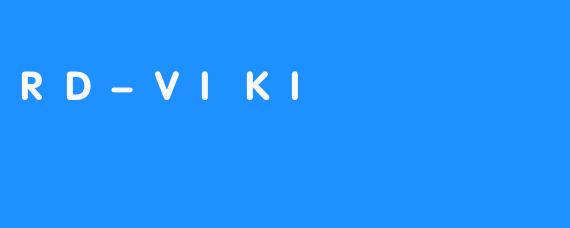 RD-VIKI：下一代智能交互系统的革新与未来