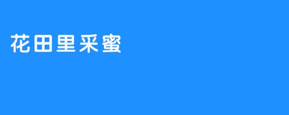 《花田采蜜记》