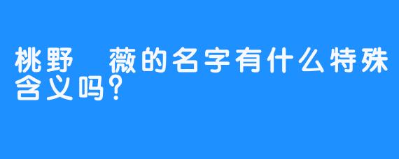 桃野薔薇的名字有什么特殊含义吗？