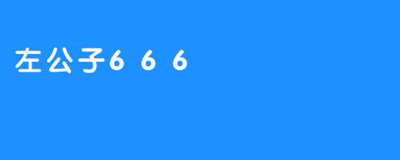 左公子666