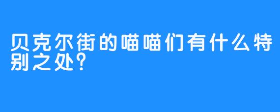贝克尔街的喵喵们有什么特别之处？