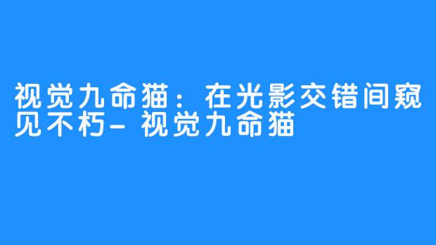视觉九命猫：在光影交错间窥见不朽-视觉九命猫