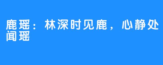 鹿瑶：林深时见鹿，心静处闻瑶