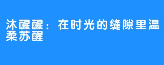 沐醒醒：在时光的缝隙里温柔苏醒
