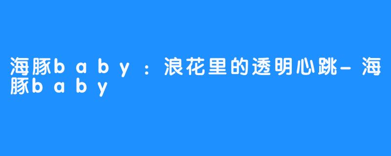 海豚baby：浪花里的透明心跳-海豚baby