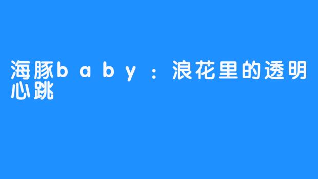 海豚baby：浪花里的透明心跳