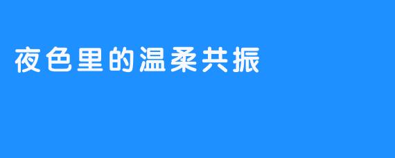 夜色里的温柔共振