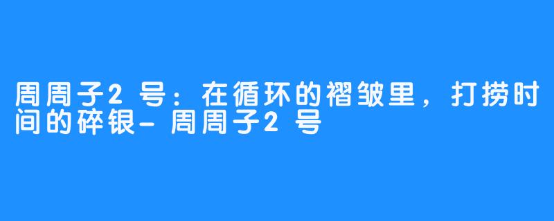 周周子2号:在循环的褶皱里,打捞时间的碎银-周周子2号
